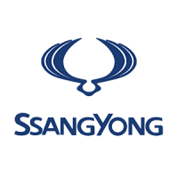 Примеры ремонта марки Санг Йонг